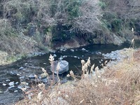 IMG_8631.jpg