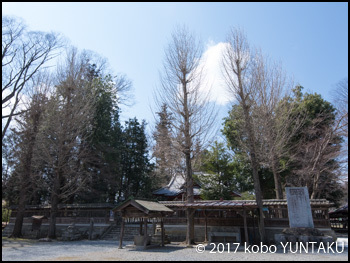 椋神社