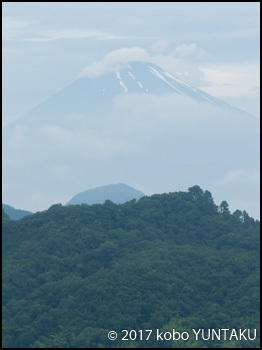 大仁ホテルからの富士山
