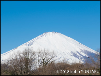 足柄SA（下り）から望む富士山