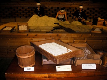 SANY2.JPG