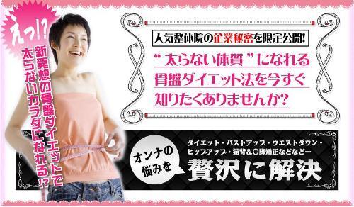 スタイル矯正完全マニュアル