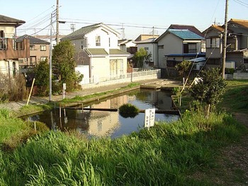 2009年3月17日龍池弁才天双子池.jpg