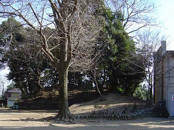 2009年3月三芳野神社･川越城土塁跡.jpg