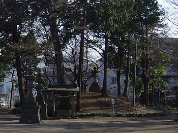2009年3月仙波氷川神社･古墳.jpg