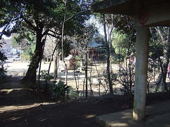 2009年4月2日三芳野神社･川越城土塁跡上から.jpg