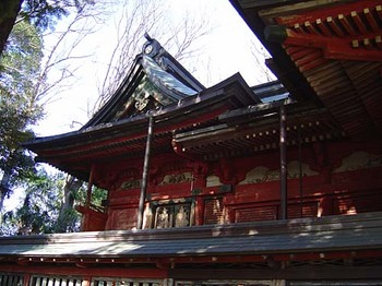 2009年4月三芳野神社本殿・幣殿.jpg