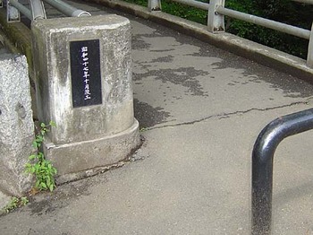2009年4月喜多院どろぼう橋5.jpg
