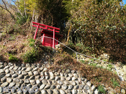 神社の鳥居