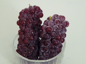 delaware-grape.jpg