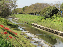 川岸の風景