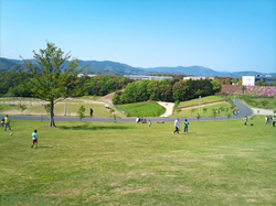 都田総合公園の原っぱ