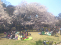 お花見蜆塚遺跡