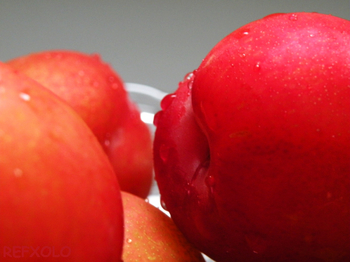 plum-fruits.jpg