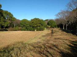 初冬の佐鳴湖公園