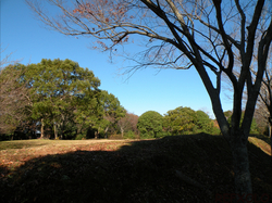 初冬の佐鳴湖公園2009