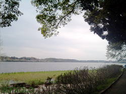 佐鳴湖湖岸小道