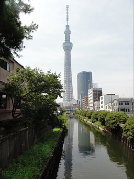 十間橋から見た東京スカイツリー