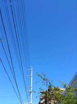 梅雨明けの青空20120717