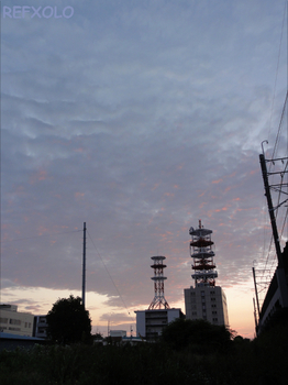 夜明けのいわし雲