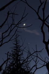 月と金星_DSC_3772.jpg
