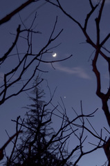 月と金星_明_DSC_3772.jpg