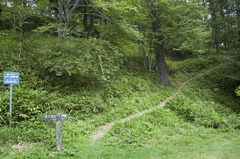 林道枝道_DSC_0082.jpg