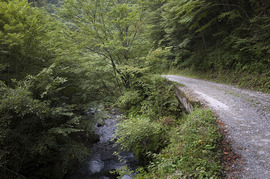 林道_DSC_0077.jpg