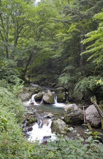 林道_DSC_0079.jpg