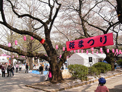 桜祭り_KICX3626.jpg