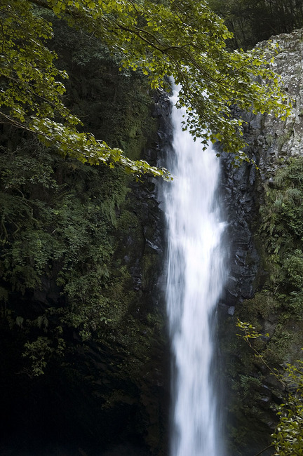 浄蓮の滝_DSC_6406.jpg