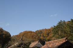 閑谷学校_DSC_3056.jpg