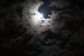 NightSafari Sky.jpg