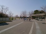 昭和記念公園.jpg