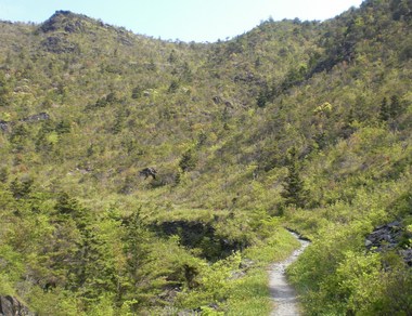 CIMG0172.JPG