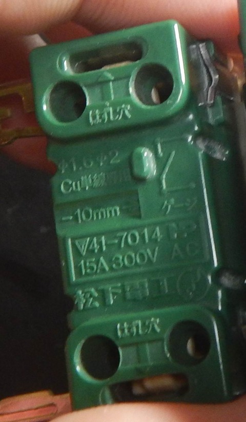 DSCN6708b