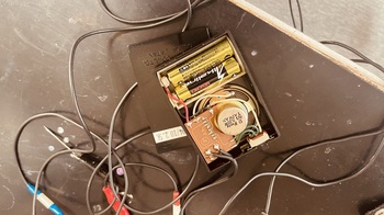IMG_1132.JPEG