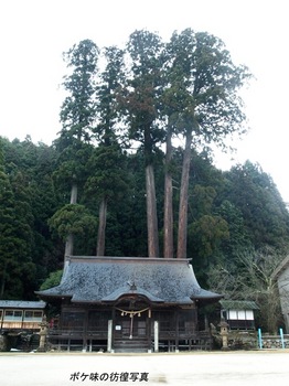 中和神社.jpg