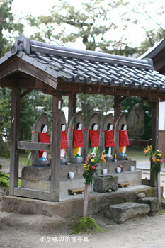 天橋立智恩寺NO３.jpg