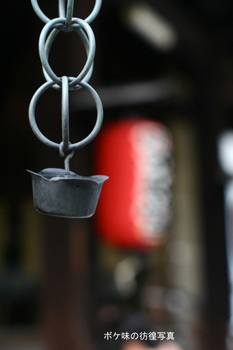 天橋立智恩寺NO４.jpg
