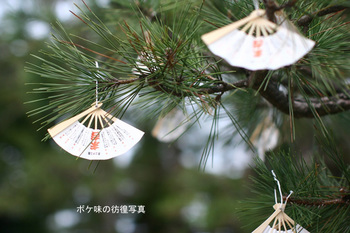 天橋立智恩寺NO６.jpg