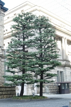 日銀NO4.JPG