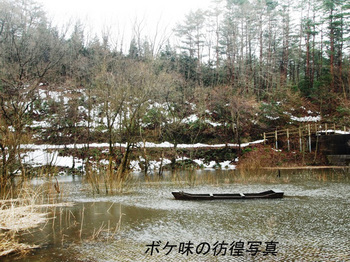 早春３.jpg