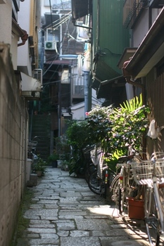 西片NO5.JPG