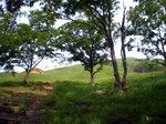 階段の続く登山道