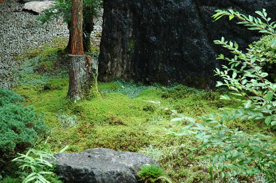 袋田の住職 山寺日記 Ssブログ