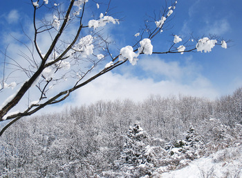 雪のち晴れ (1)