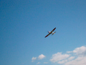 久しぶりの青空