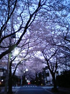 run-hanami