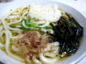 山菜うどん.JPG